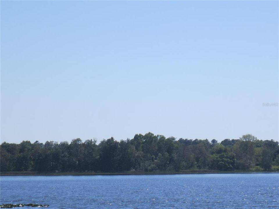 For Sale: $39,900 (0.39 acres)