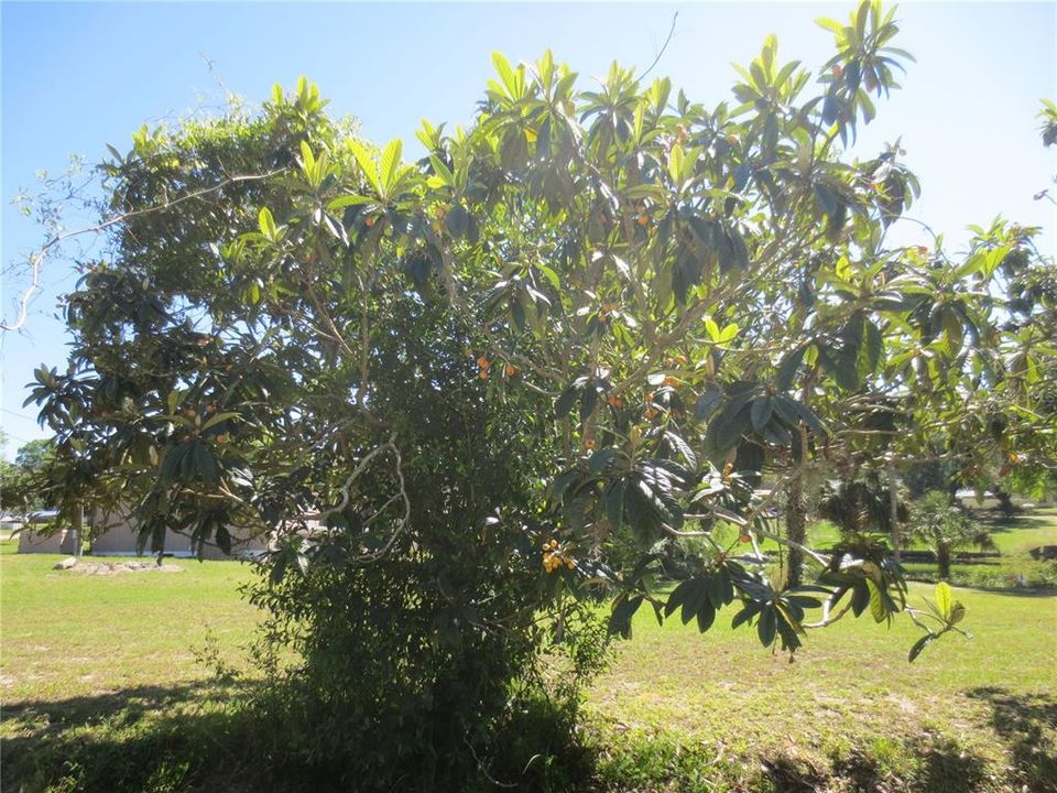 For Sale: $39,900 (0.39 acres)