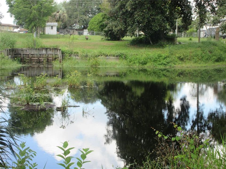 For Sale: $39,900 (0.39 acres)