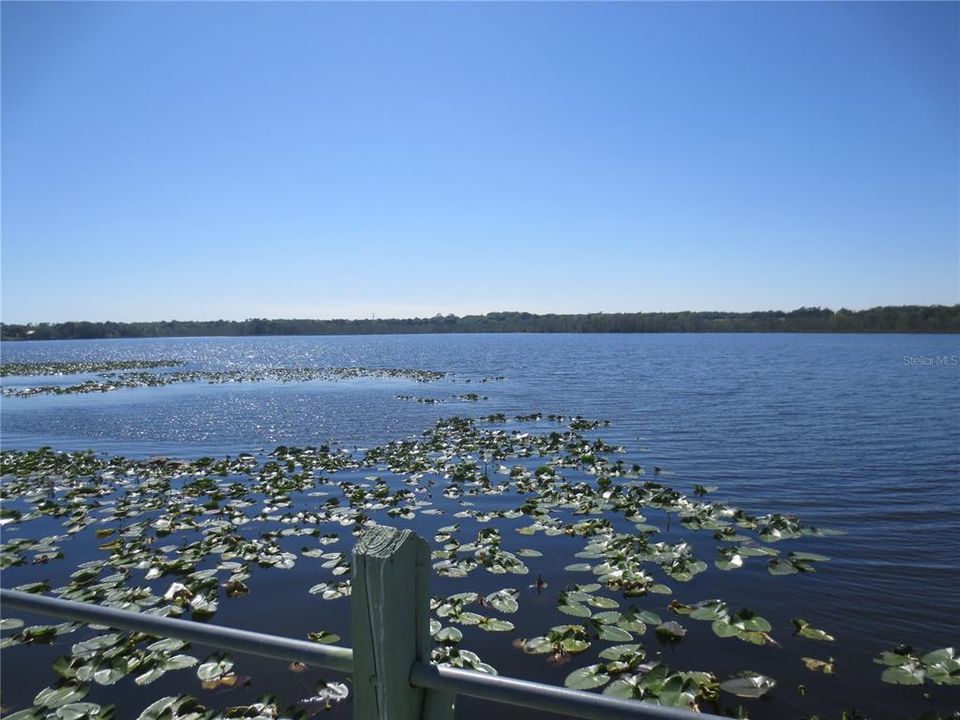 For Sale: $39,900 (0.39 acres)