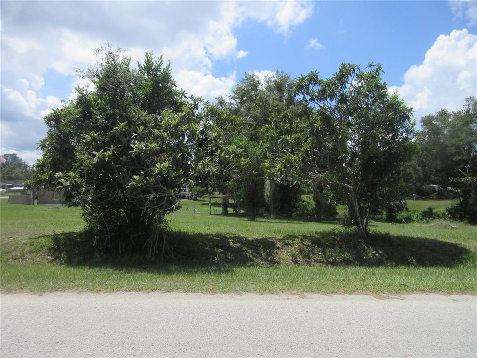 For Sale: $39,900 (0.39 acres)