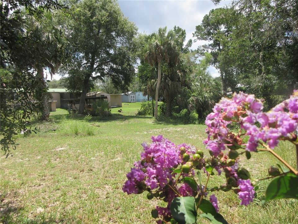 For Sale: $39,900 (0.39 acres)