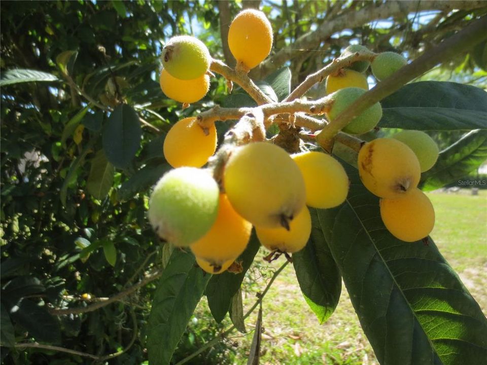 For Sale: $39,900 (0.39 acres)