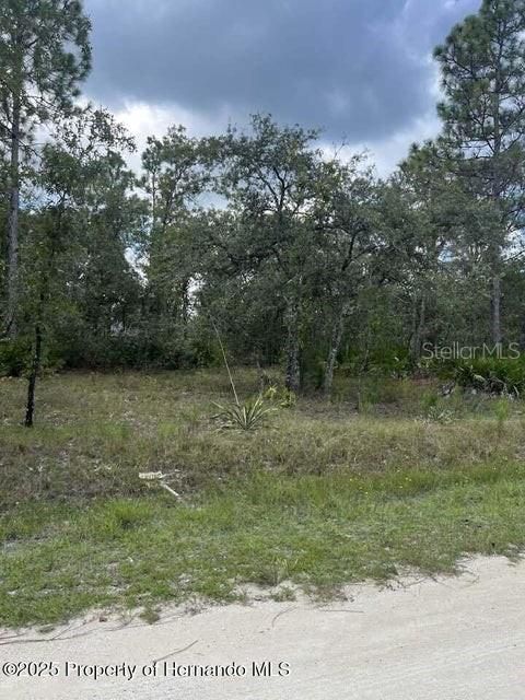 For Sale: $59,900 (1.20 acres)
