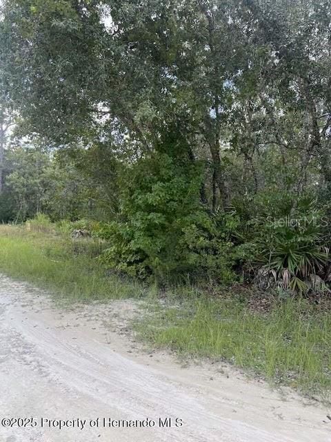 For Sale: $59,900 (1.20 acres)