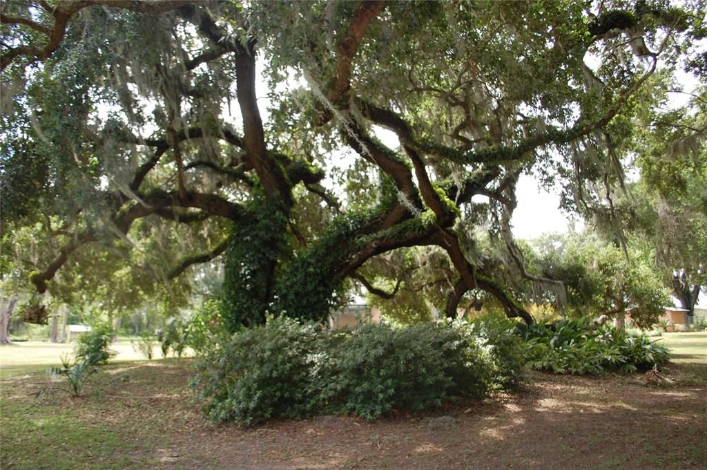 For Sale: $800,000 (0 beds, 0 baths, 2268 Square Feet)