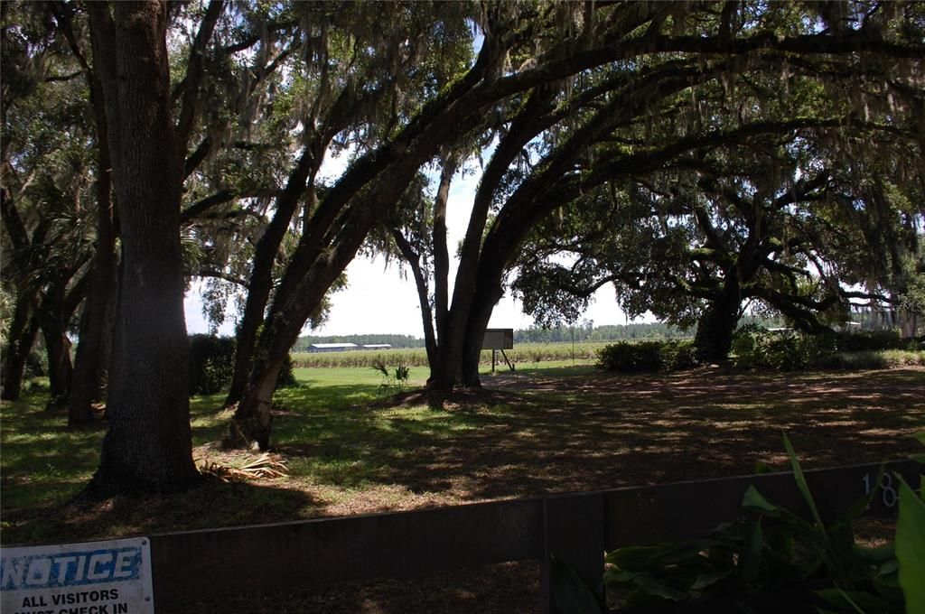 For Sale: $800,000 (0 beds, 0 baths, 2268 Square Feet)