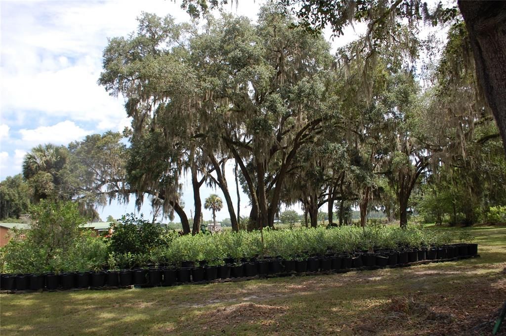 For Sale: $800,000 (0 beds, 0 baths, 2268 Square Feet)