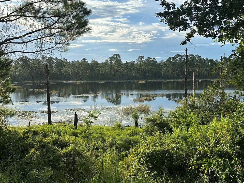 На продажу: $444,900 (3 спален, 2 ванн, 1776 Квадратных фут)