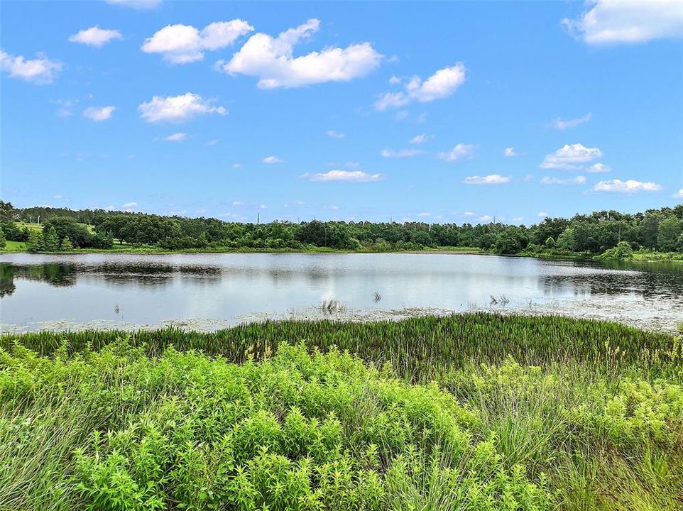 En Venta: $440,000 (5.00 acres)