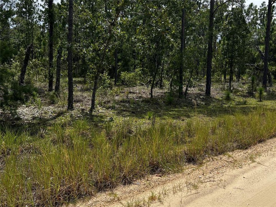 Недавно продано: $25,000 (1.13 acres)