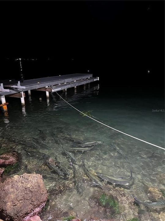 For Sale: $94,900 (0.22 acres)