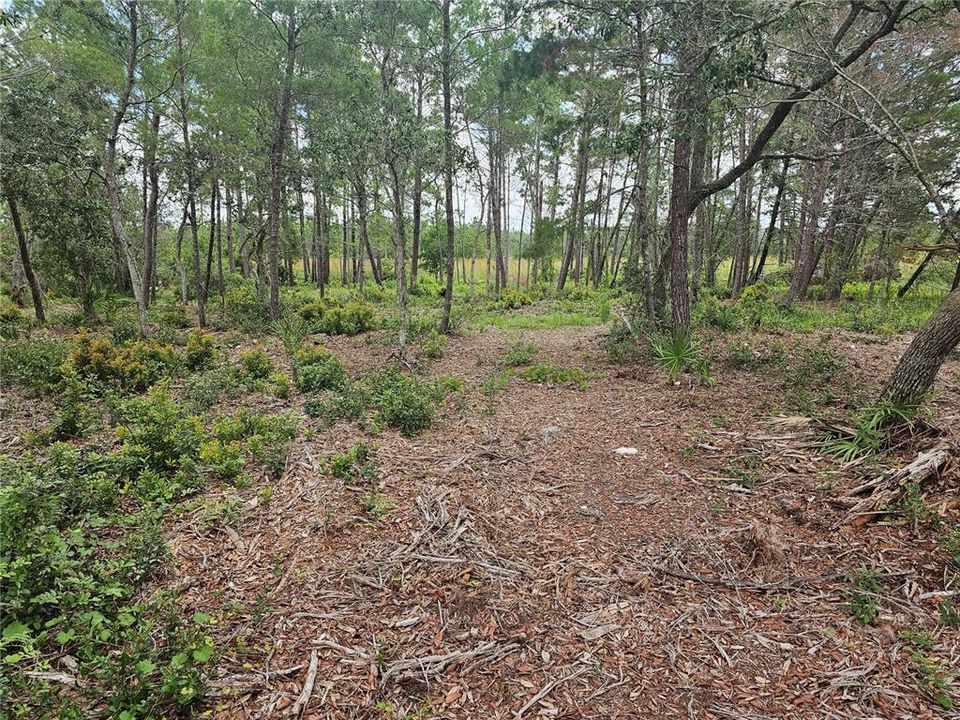 For Sale: $108,000 (1.18 acres)