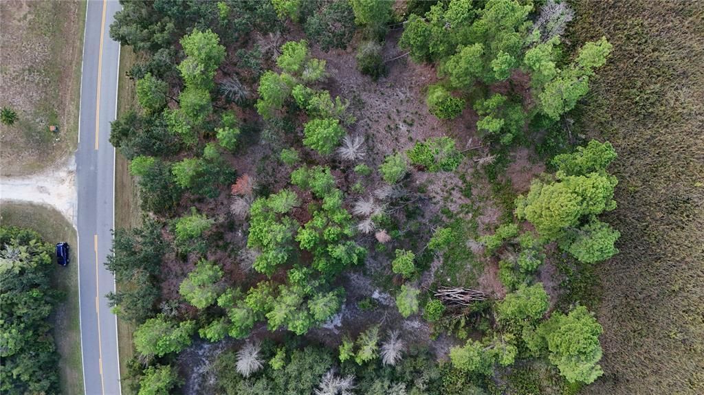 For Sale: $108,000 (1.18 acres)