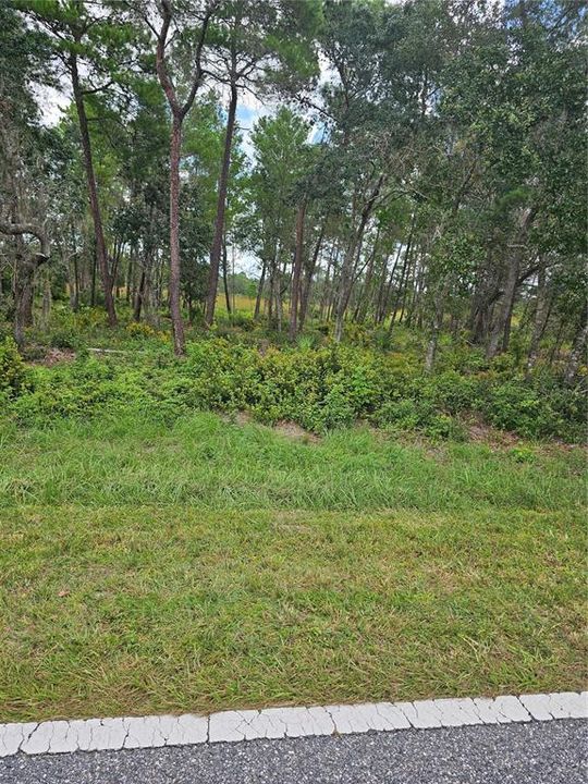 For Sale: $108,000 (1.18 acres)