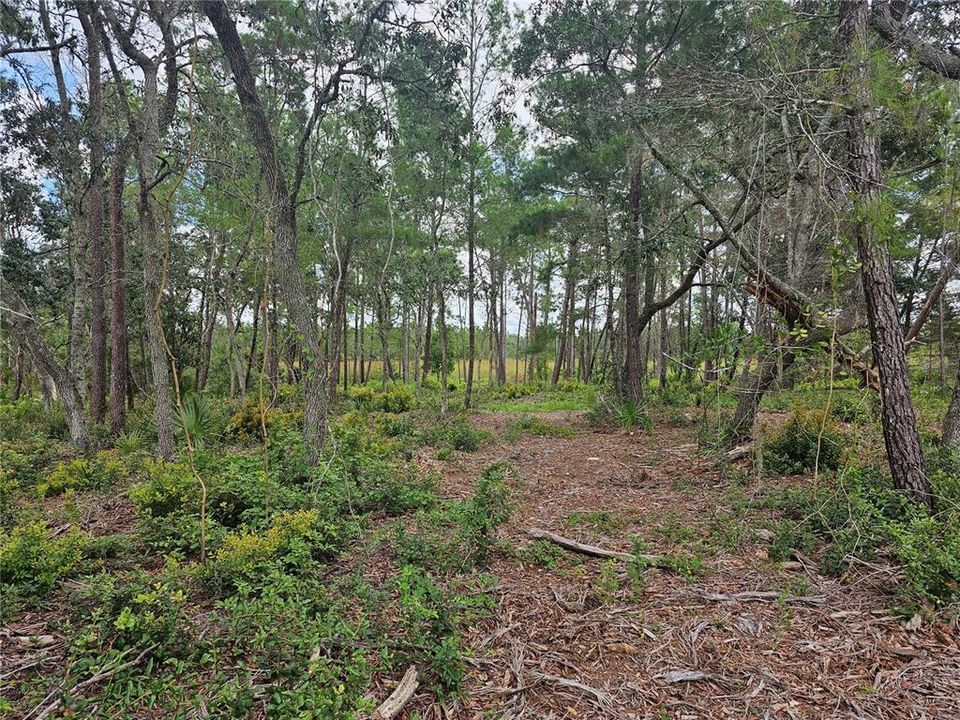 For Sale: $108,000 (1.18 acres)