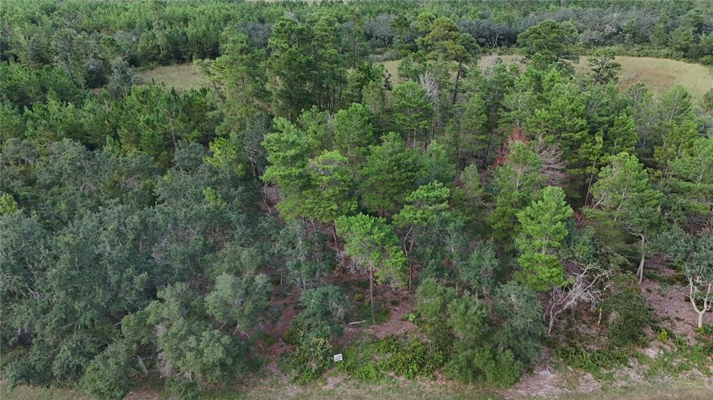 For Sale: $108,000 (1.18 acres)