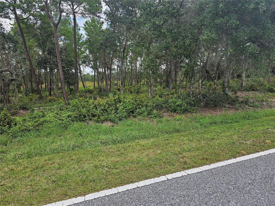 For Sale: $108,000 (1.18 acres)