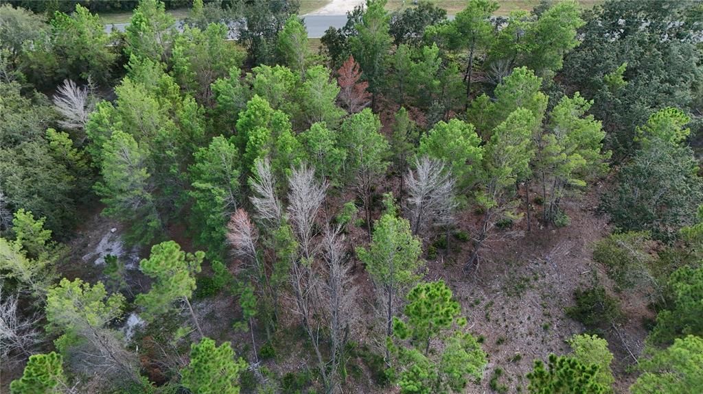 For Sale: $108,000 (1.18 acres)