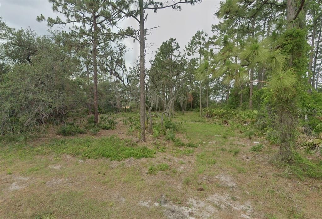 For Sale: $49,990 (0.31 acres)