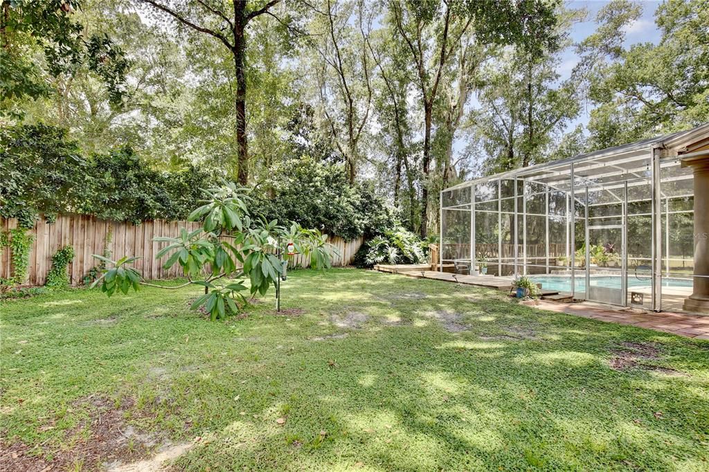 Active With Contract: $735,000 (5 beds, 3 baths, 4242 Square Feet)