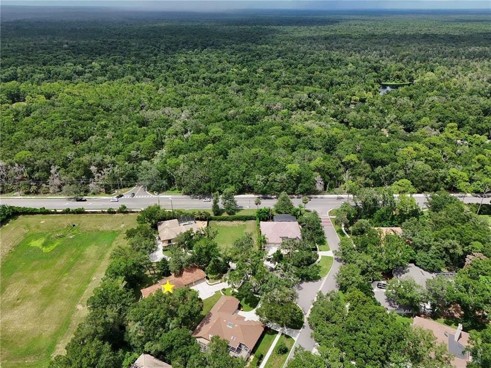 Active With Contract: $735,000 (5 beds, 3 baths, 4242 Square Feet)