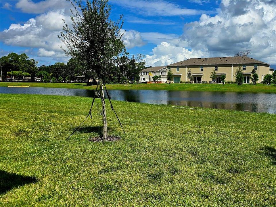 For Rent: $2,100 (3 beds, 2 baths, 1840 Square Feet)