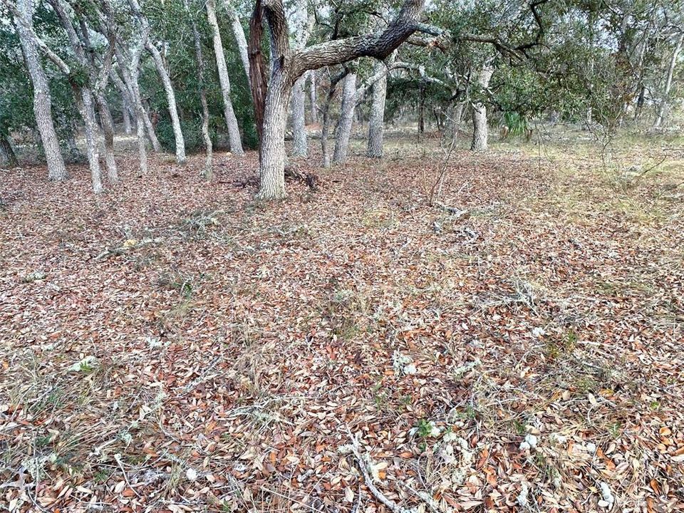 Active With Contract: $24,900 (0.99 acres)