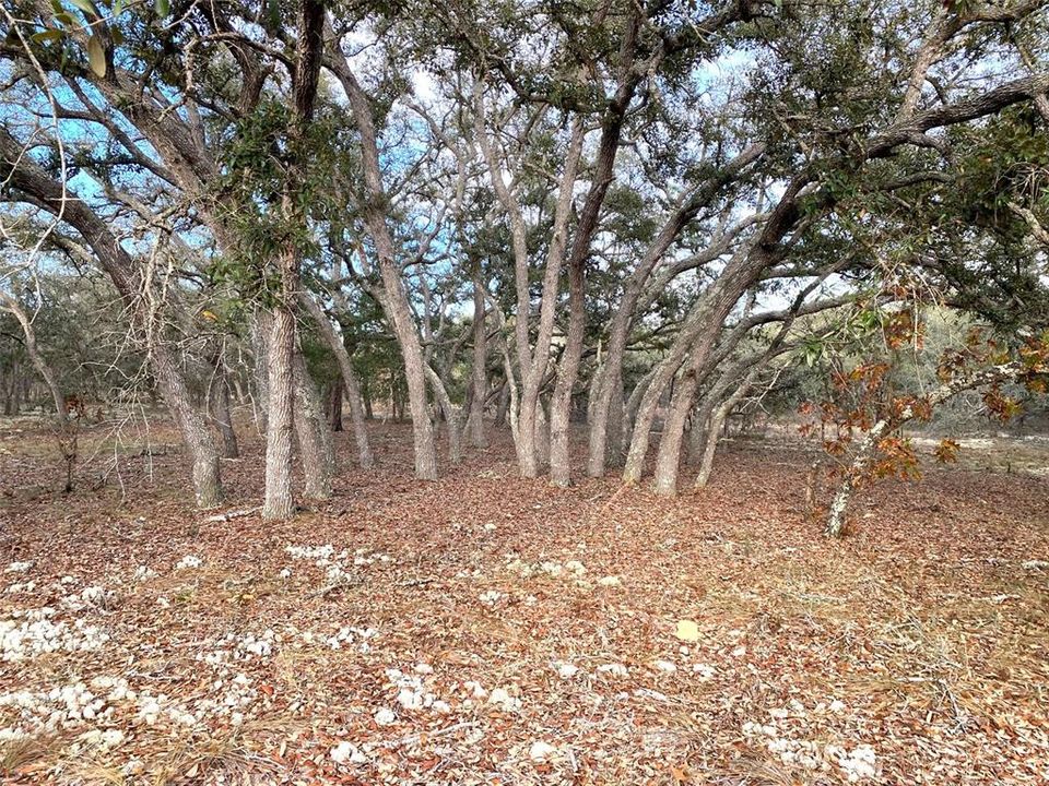 Active With Contract: $24,900 (0.99 acres)
