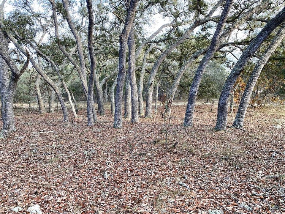 Active With Contract: $24,900 (0.99 acres)