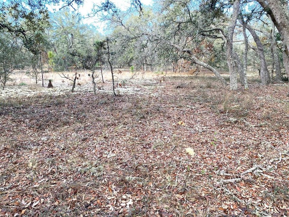 Active With Contract: $24,900 (0.99 acres)