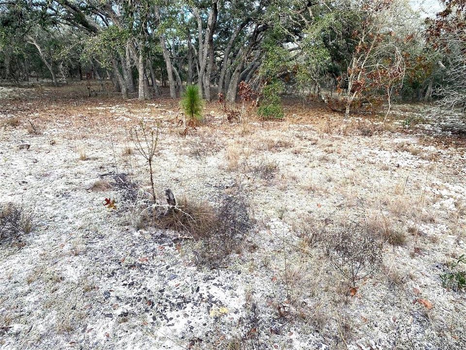 Active With Contract: $24,900 (0.99 acres)
