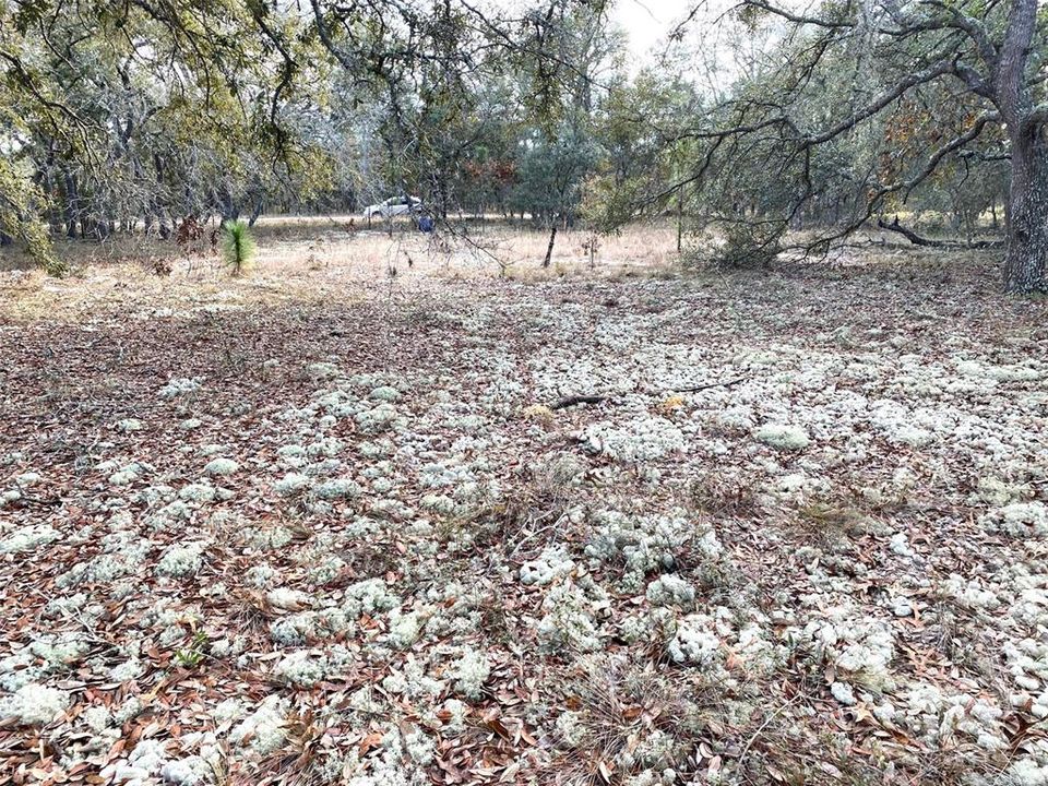 Active With Contract: $24,900 (0.99 acres)