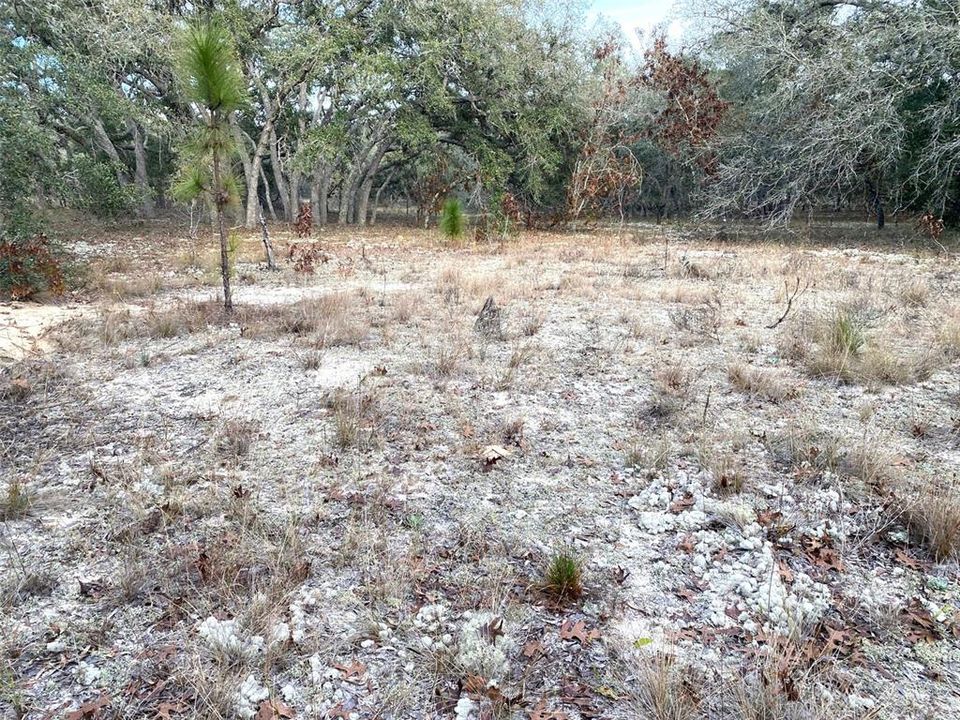 Active With Contract: $24,900 (0.99 acres)