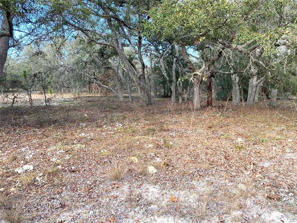 Active With Contract: $24,900 (0.99 acres)