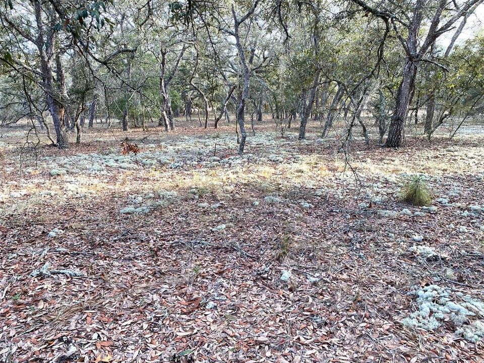 Active With Contract: $24,900 (0.99 acres)