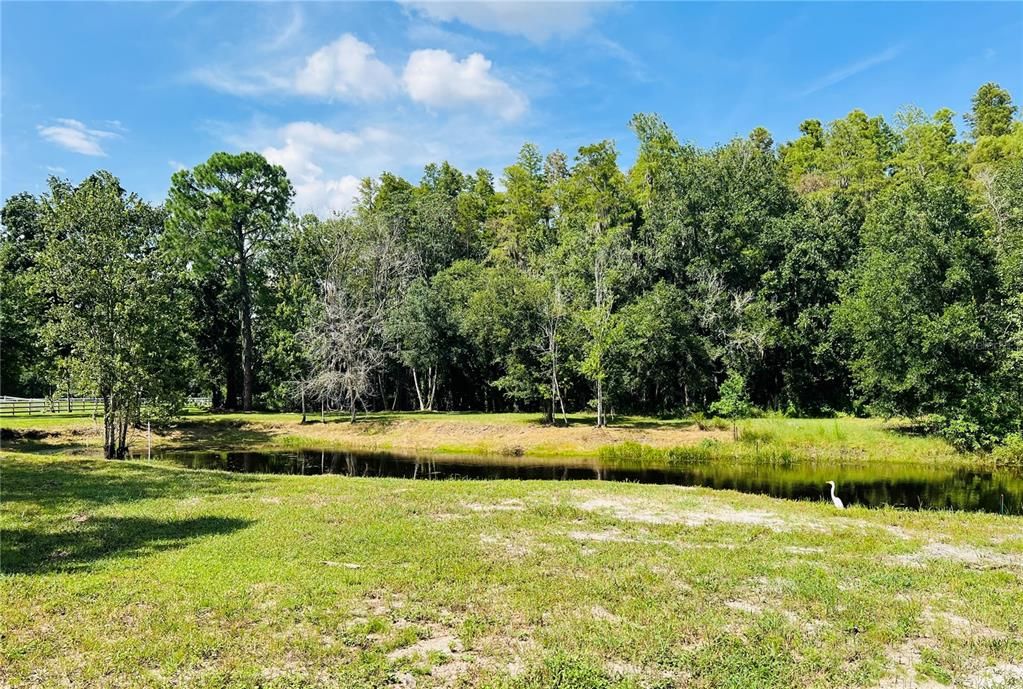 Под контрактом: $900,000 (4 спален, 2 ванн, 2454 Квадратных фут)