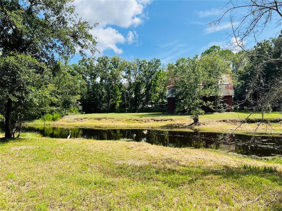 Под контрактом: $900,000 (4 спален, 2 ванн, 2454 Квадратных фут)