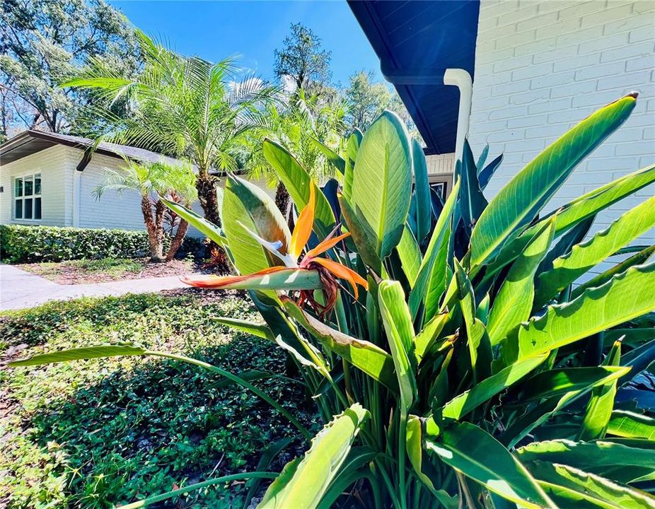 Под контрактом: $900,000 (4 спален, 2 ванн, 2454 Квадратных фут)