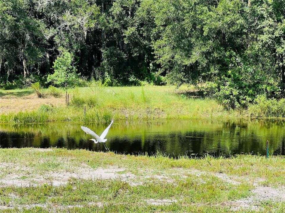 Под контрактом: $900,000 (4 спален, 2 ванн, 2454 Квадратных фут)