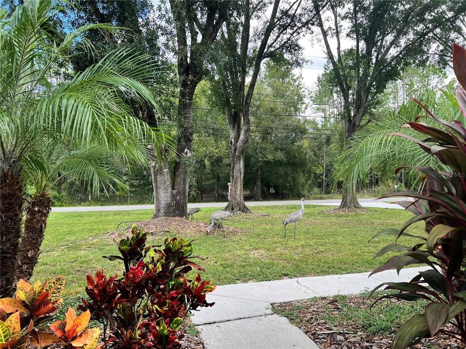 Под контрактом: $900,000 (4 спален, 2 ванн, 2454 Квадратных фут)