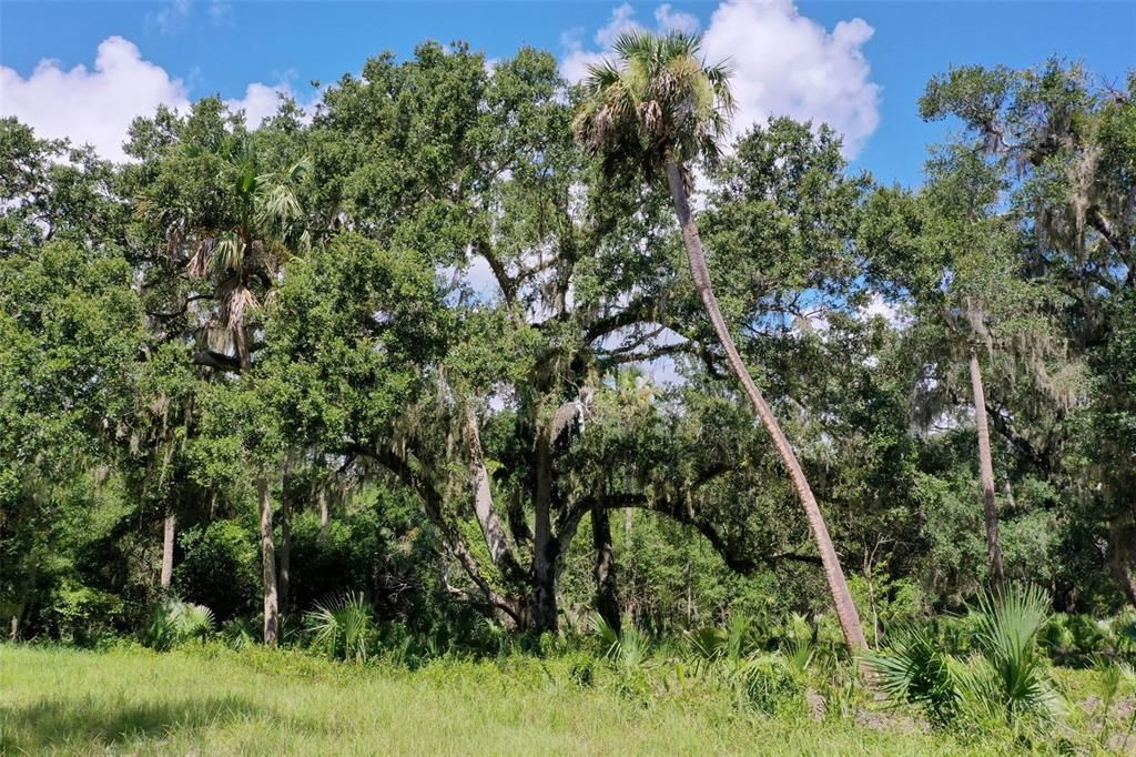 На продажу: $440,000 (7.22 acres)