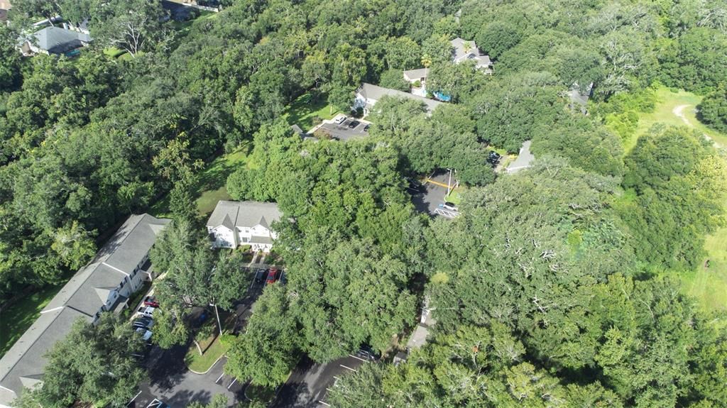 На продажу: $227,000 (2 спален, 1 ванн, 1142 Квадратных фут)