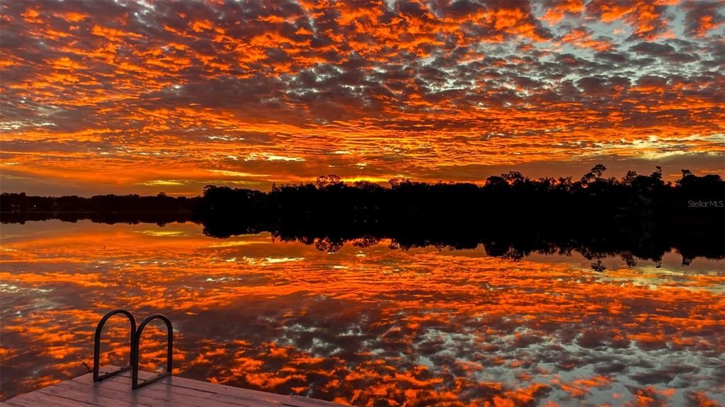 合同活跃: $975,000 (5 贝兹, 3 浴室, 3858 平方英尺)