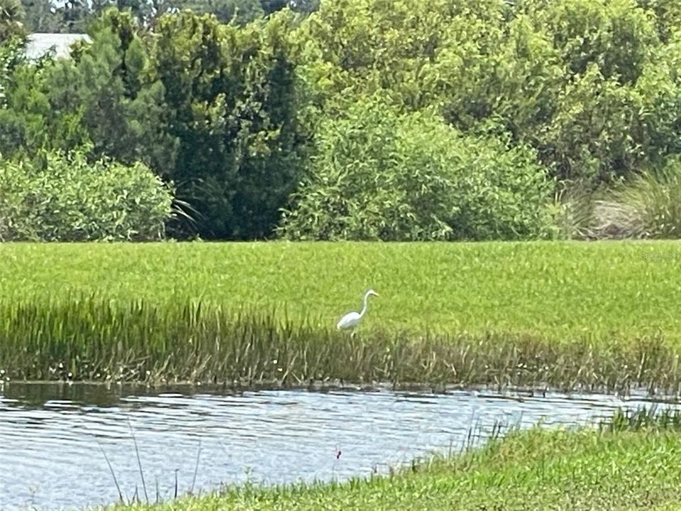 待售: $489,900 (3 贝兹, 2 浴室, 1790 平方英尺)