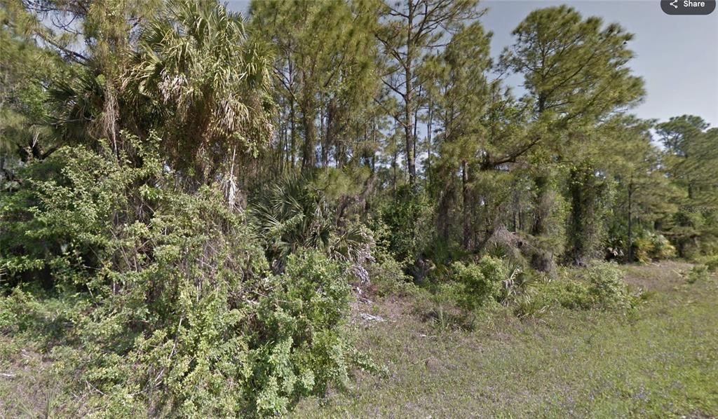 En Venta: $8,000 (0.23 acres)