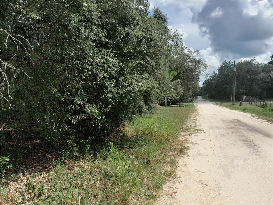 For Sale: $28,000 (1.25 acres)