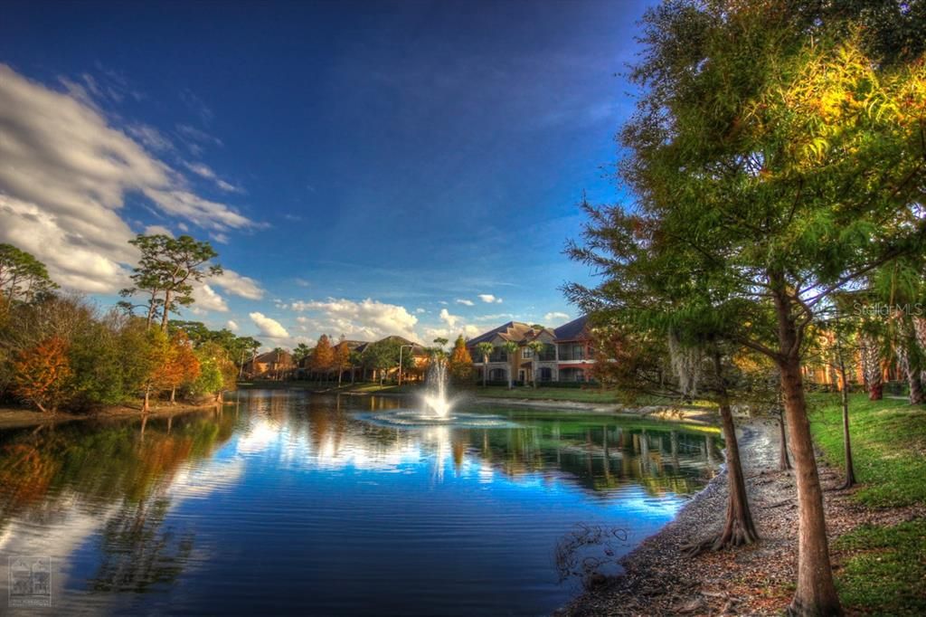 Activo con contrato: $1,500 (1 camas, 1 baños, 817 Pies cuadrados)