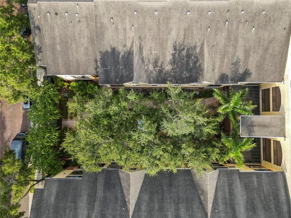 Под контрактом: $155,000 (1 спален, 1 ванн, 598 Квадратных фут)