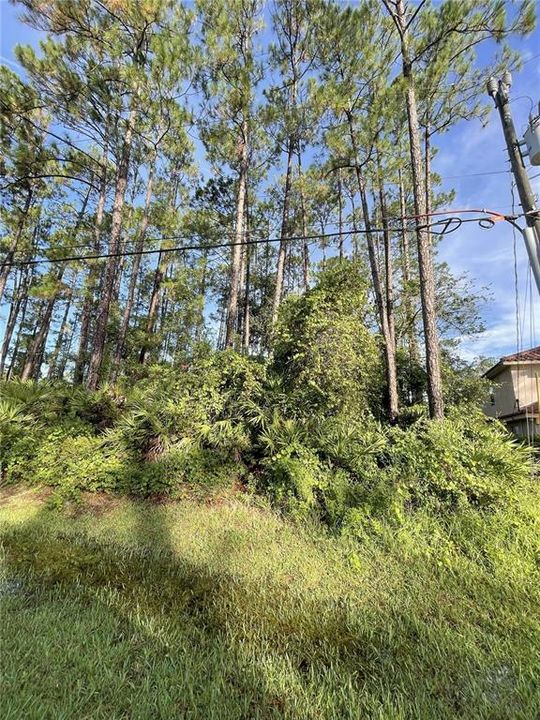 最近售出: $85,000 (0.24 acres)